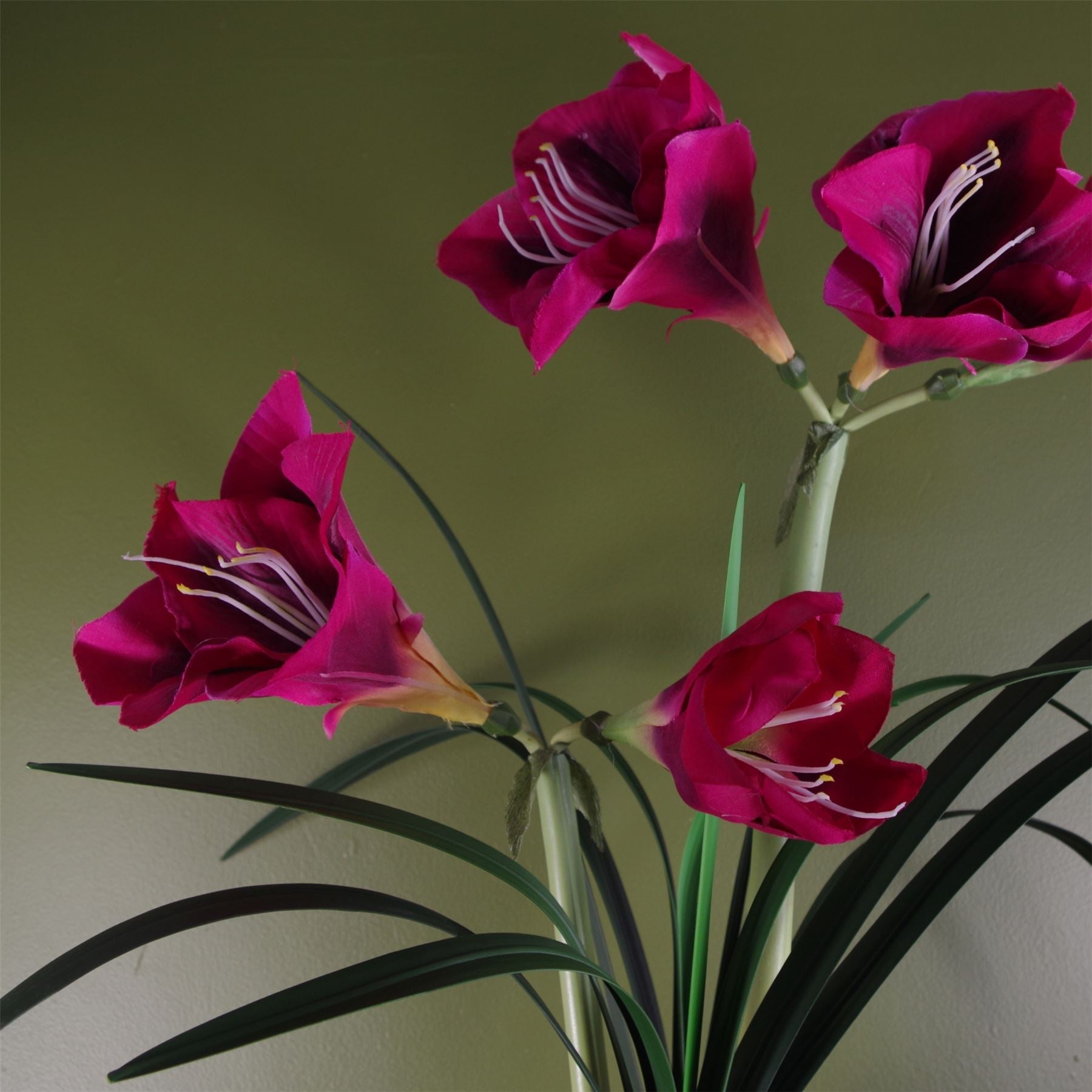 Artificial Amarylis  Plant Flowers Flowering Plant Pink Botanik-3