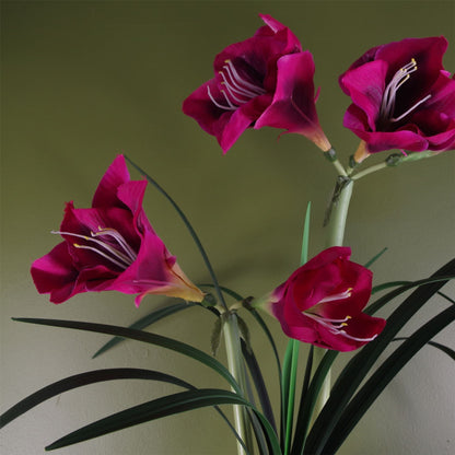 Artificial Amarylis  Plant Flowers Flowering Plant Pink Botanik-3