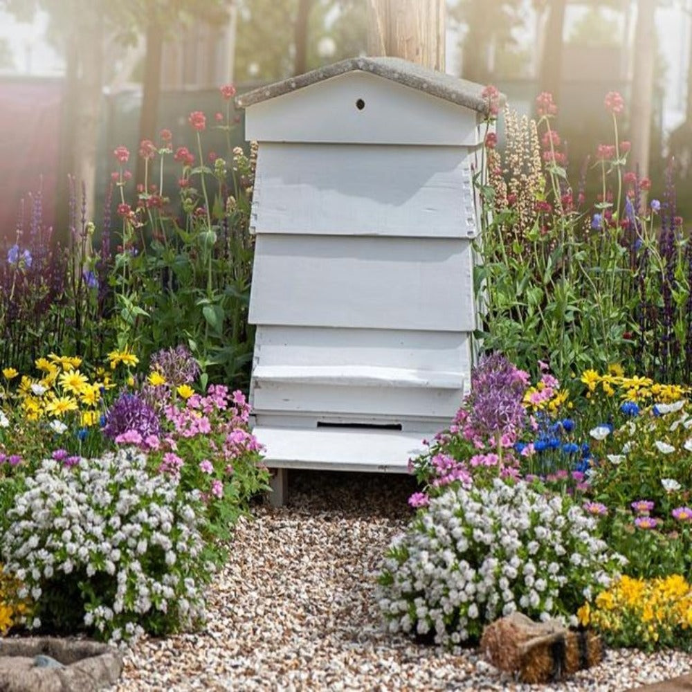 Adopt a Hive - Nurturing the Buzz of Nature's Guardians-0