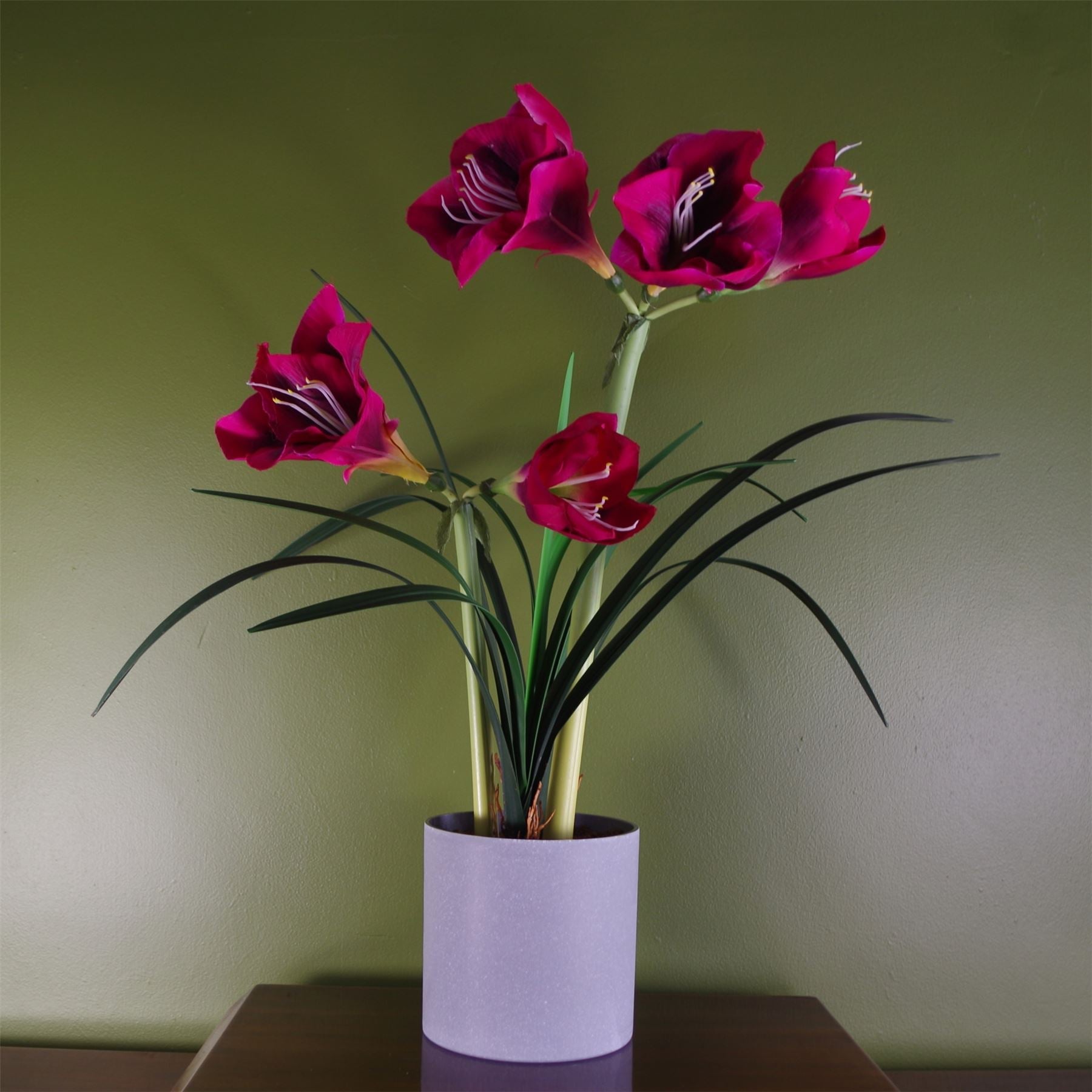 Artificial Amarylis  Plant Flowers Flowering Plant Pink Botanik-0