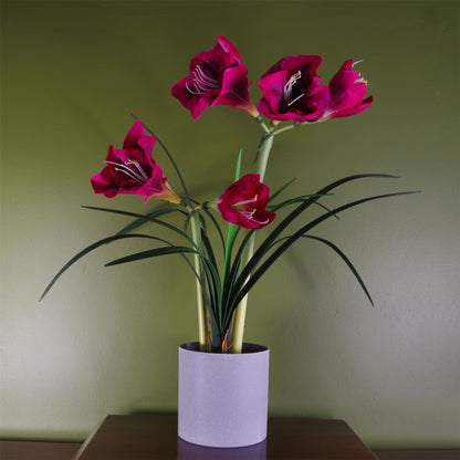 Artificial Amarylis  Plant Flowers Flowering Plant Pink Botanik-0