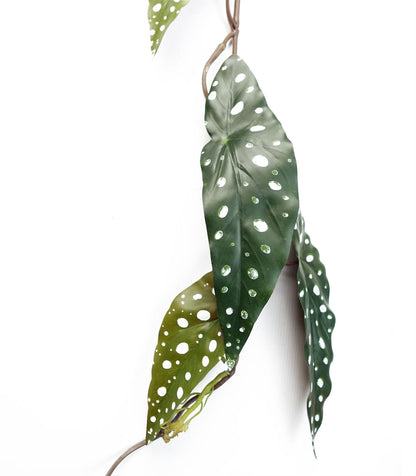 Artificial Hanging Plant Begonia Maculata Plant Pack x 6-1
