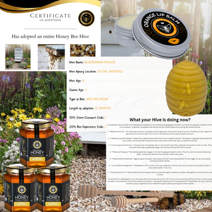 Adopt a Hive - Nurturing the Buzz of Nature's Guardians-1