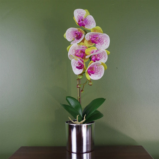 Pink Artificial Orchid Silver Pot 46cm Harlequin-0
