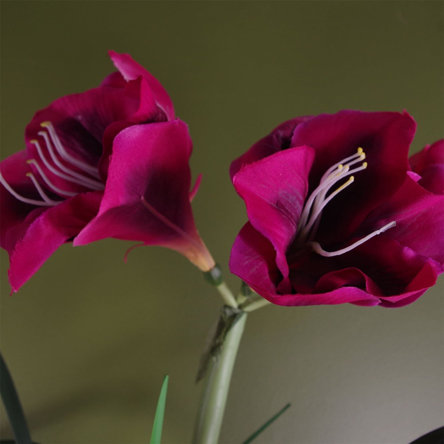 Artificial Amarylis  Plant Flowers Flowering Plant Pink Botanik-1